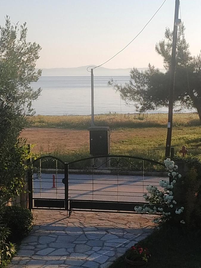 Studios Galanis Афітос Екстер'єр фото