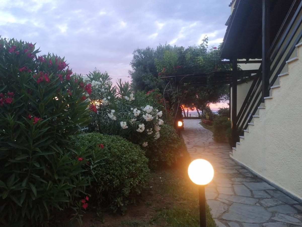 Studios Galanis Афітос Екстер'єр фото
